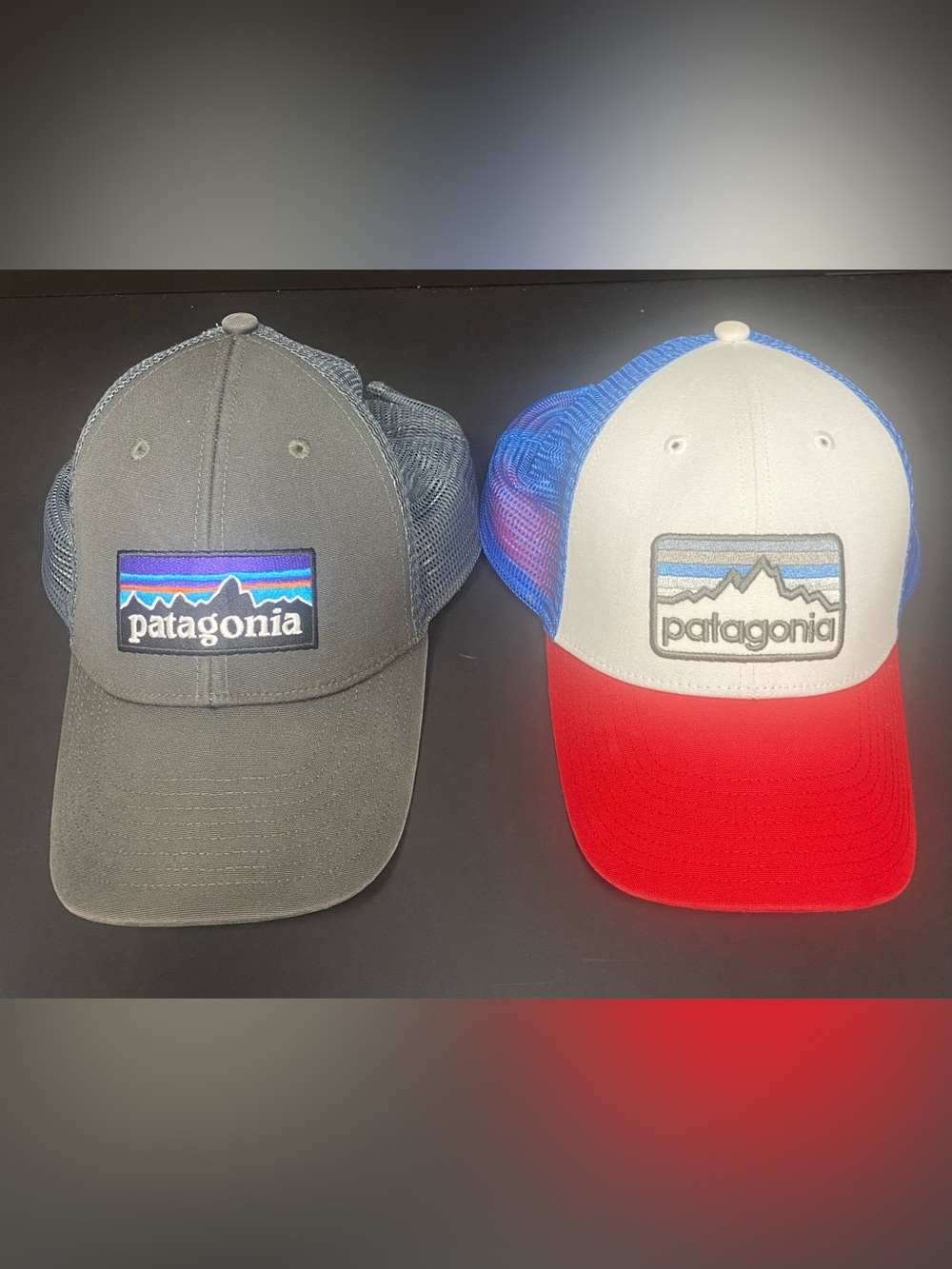 Patagonia Lot of 2 Trucker Snapback Hats  Adjustable With Patches